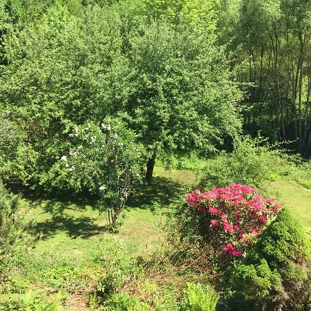 Grosses Im Westerwald