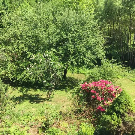 Grosses Im Westerwald